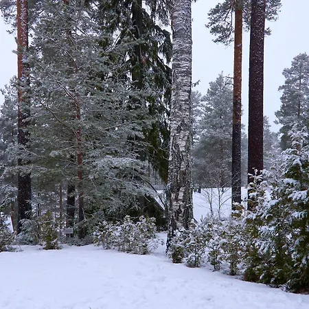 Villa Kylpyla Saimaan Harmonia *