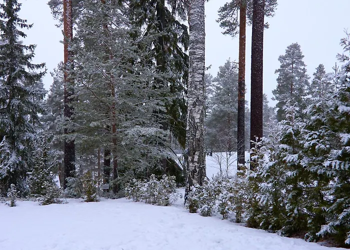 וילה Kylpyla 504 Saimaan Harmonia *